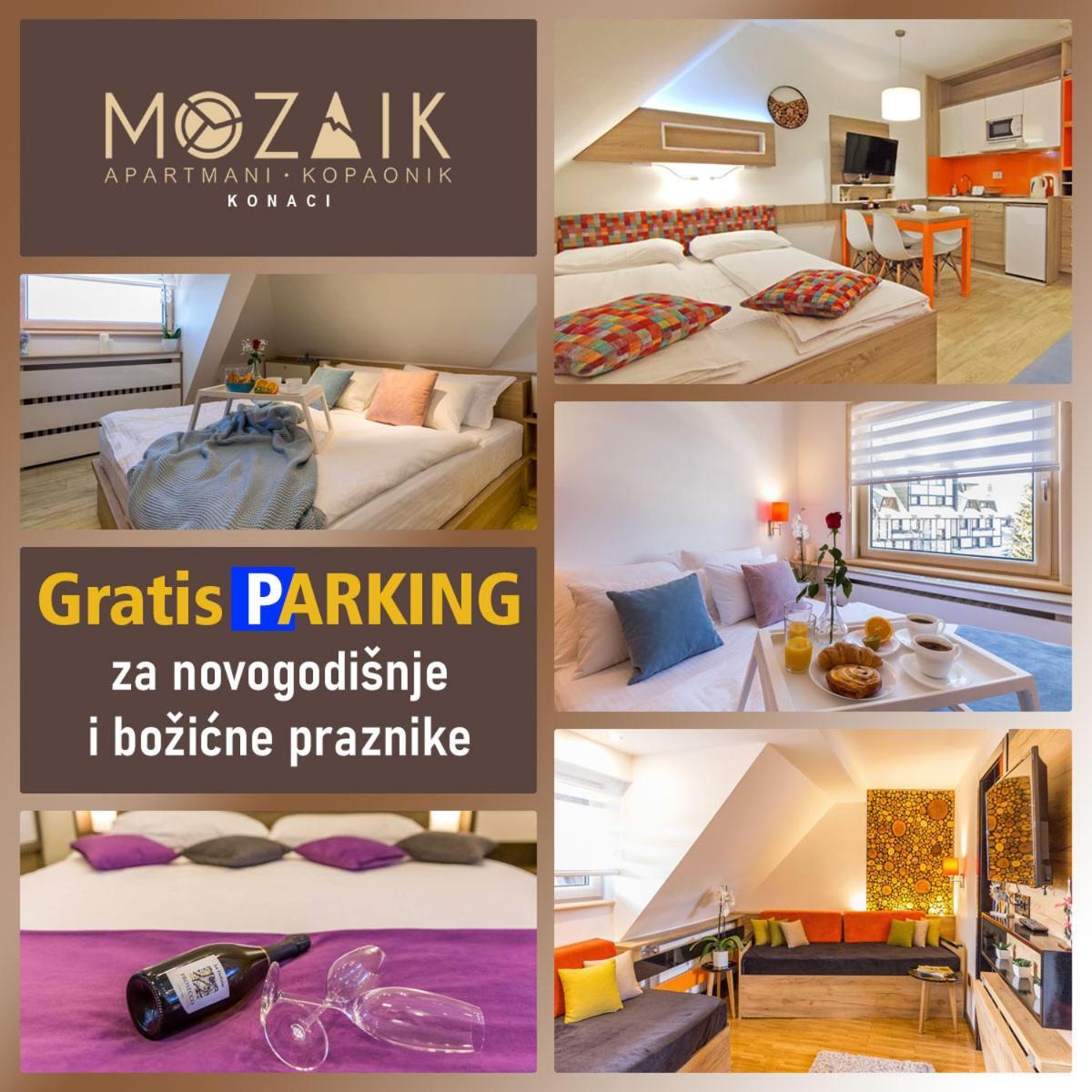 Apartments Mozaik Kopaonik Zewnętrze zdjęcie